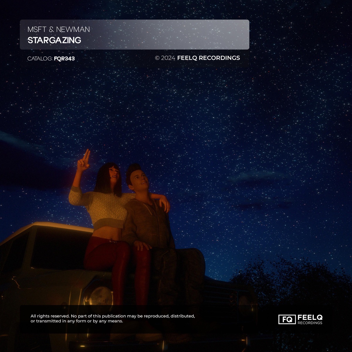 Stargazing - Single by MSFT & Newman album cover
