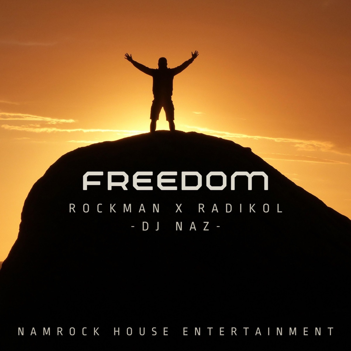 Freedom (feat. Rockman & DJ Naz) - Single by Radikol album cover