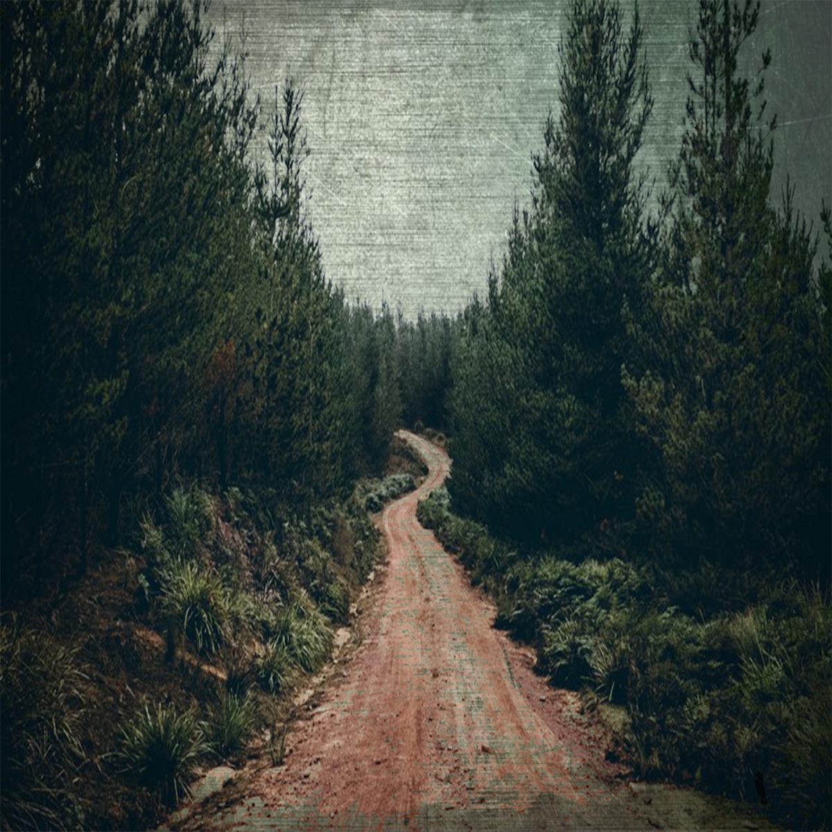 Тропы - Single by The Ritual Clan & saymon album cover