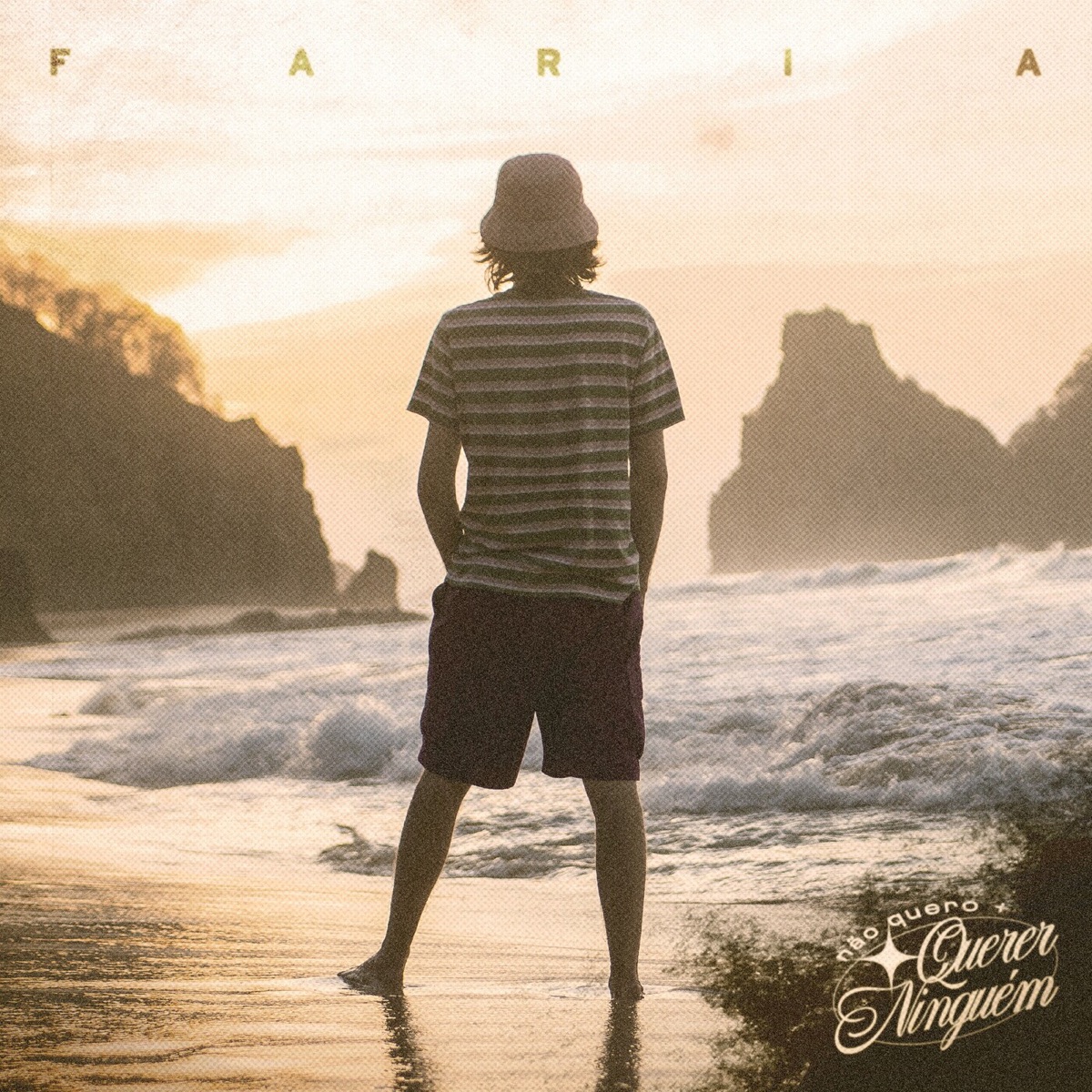 não quero mais querer ninguém - Single by Faria album cover