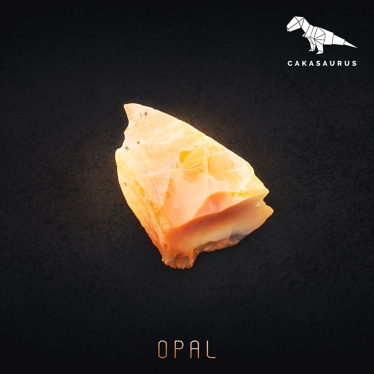 Opal - Single by Cakasaurus album cover