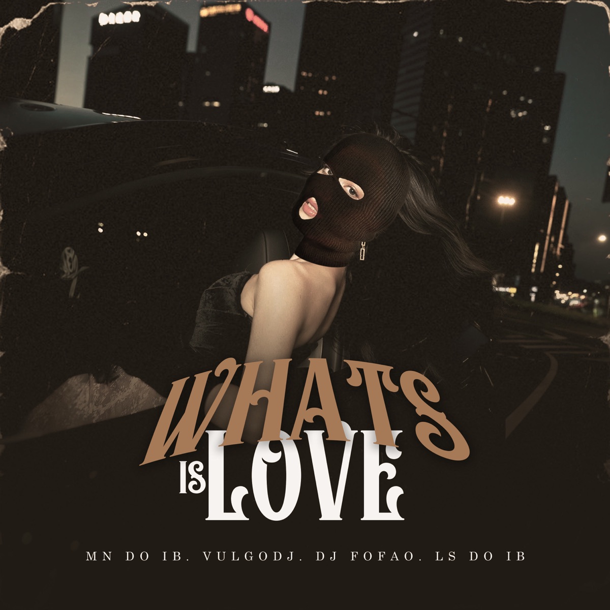 What is Love (feat. LS do IB) - Single by Vulgo DJ, MC Mn do IB & Dj Fofao USA album cover