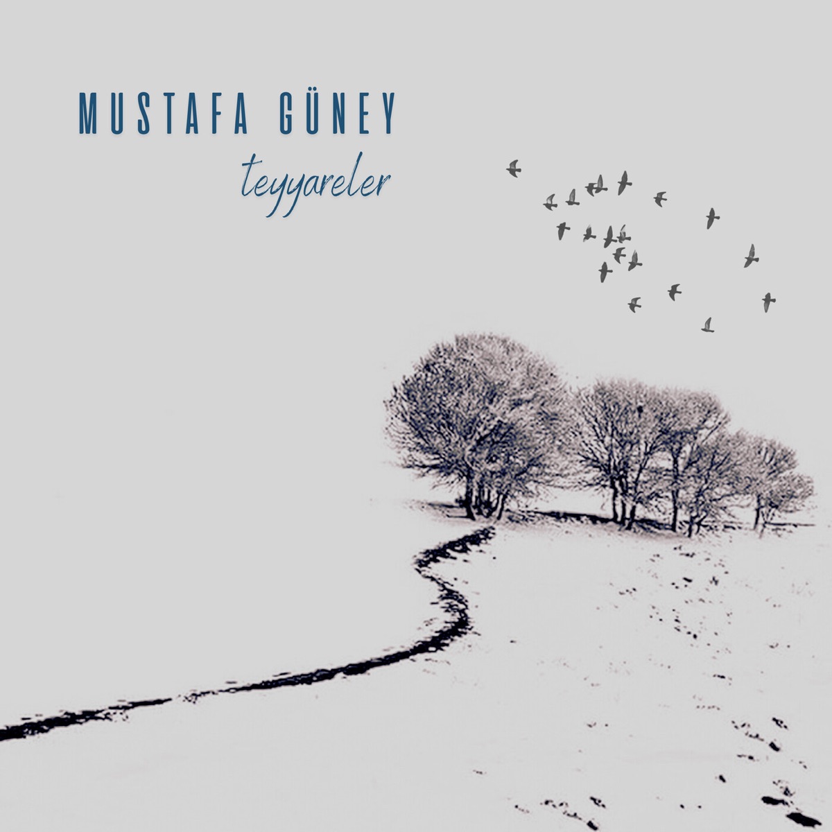 Teyyareler - Single by Mustafa Güney album cover