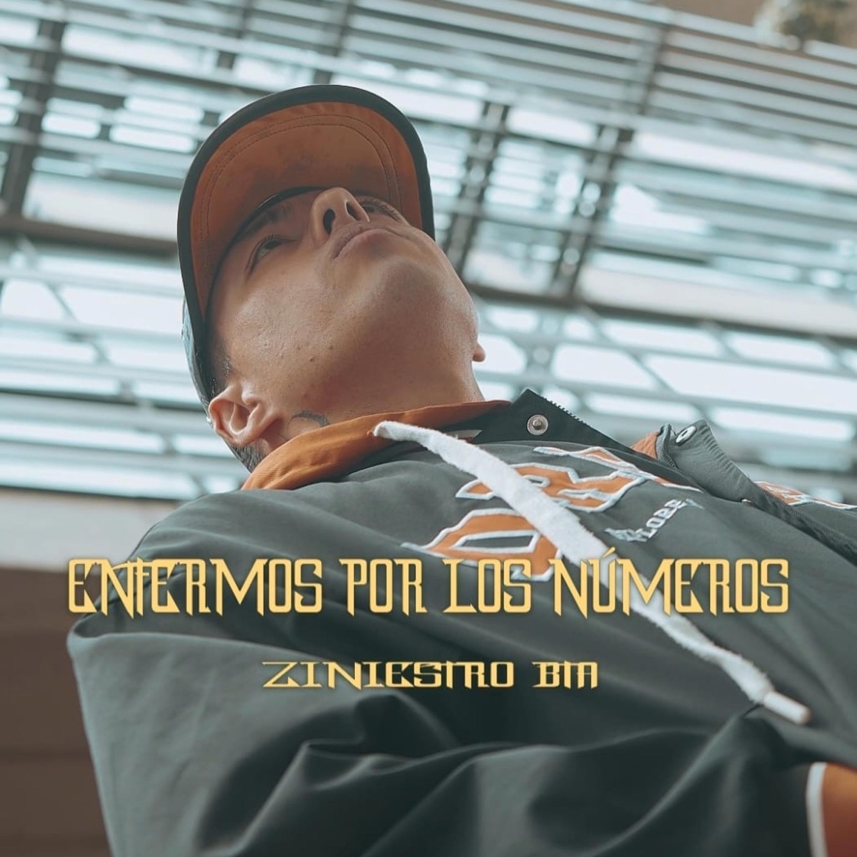 Enfermos por los numeros (feat. LeadSound & jupiter) - Single by Ziniestro Bta album cover