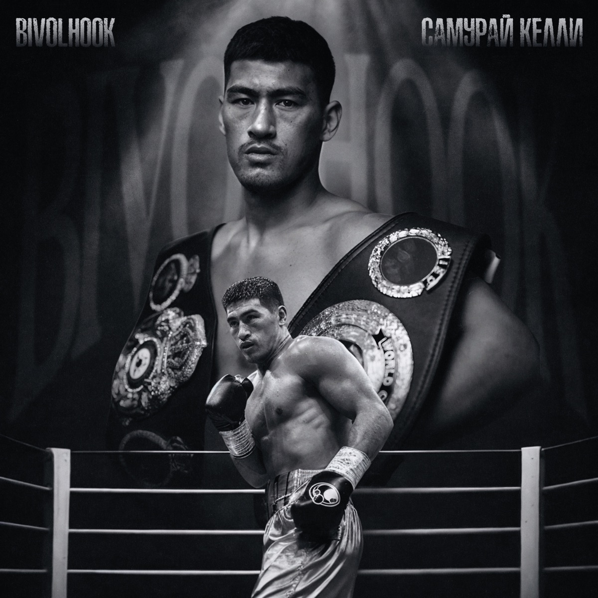 Bivol Hook - Single by Самурай Келли album cover