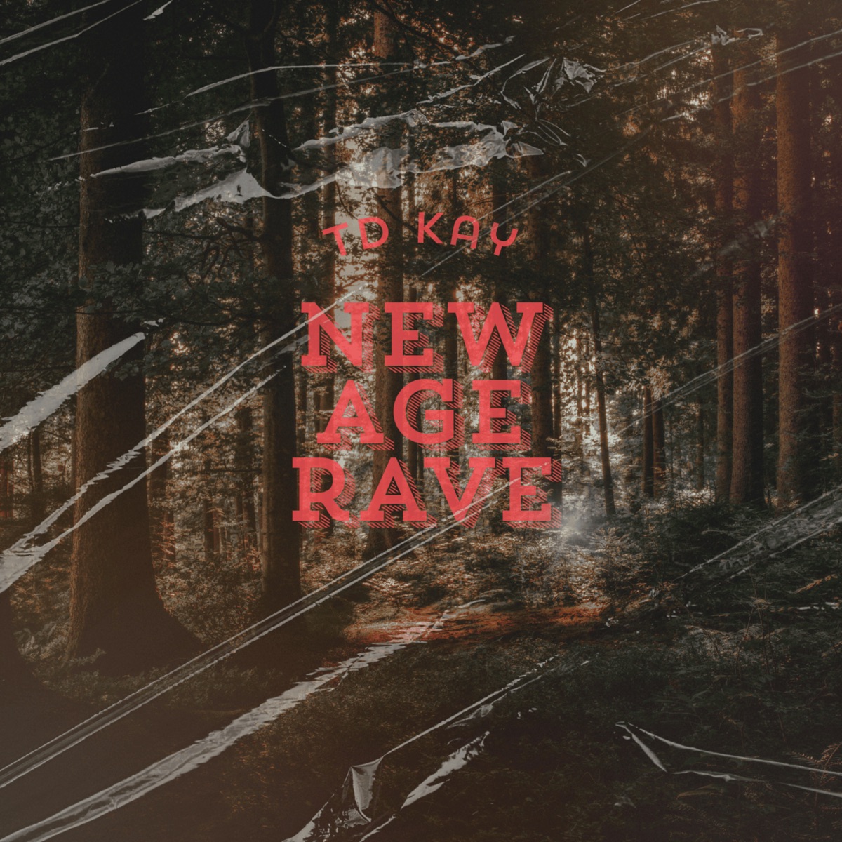 New Age Rave - Single by TD Kay album cover