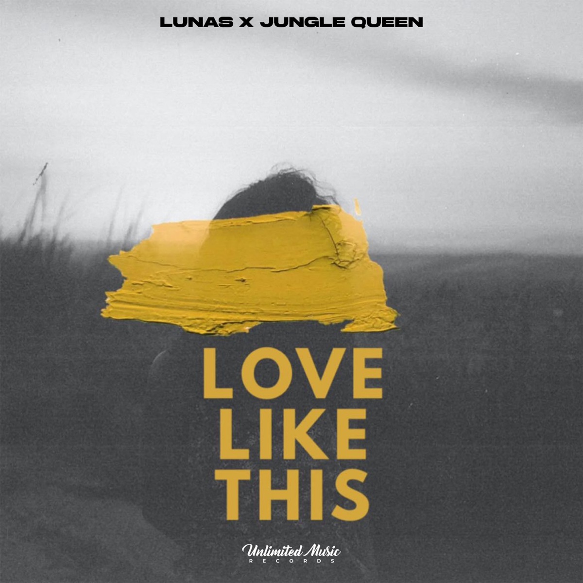 Love Like This - Single by LUNAS & Jungle Queen album cover