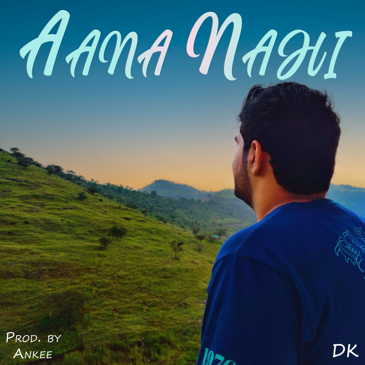 Aana Nahi - Single by Ankee & DK album cover