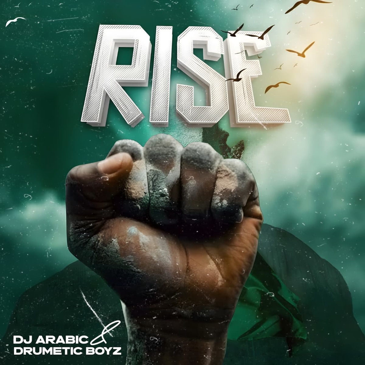 Rise - Single by Dj Arabic & Drumetic Boyz album cover