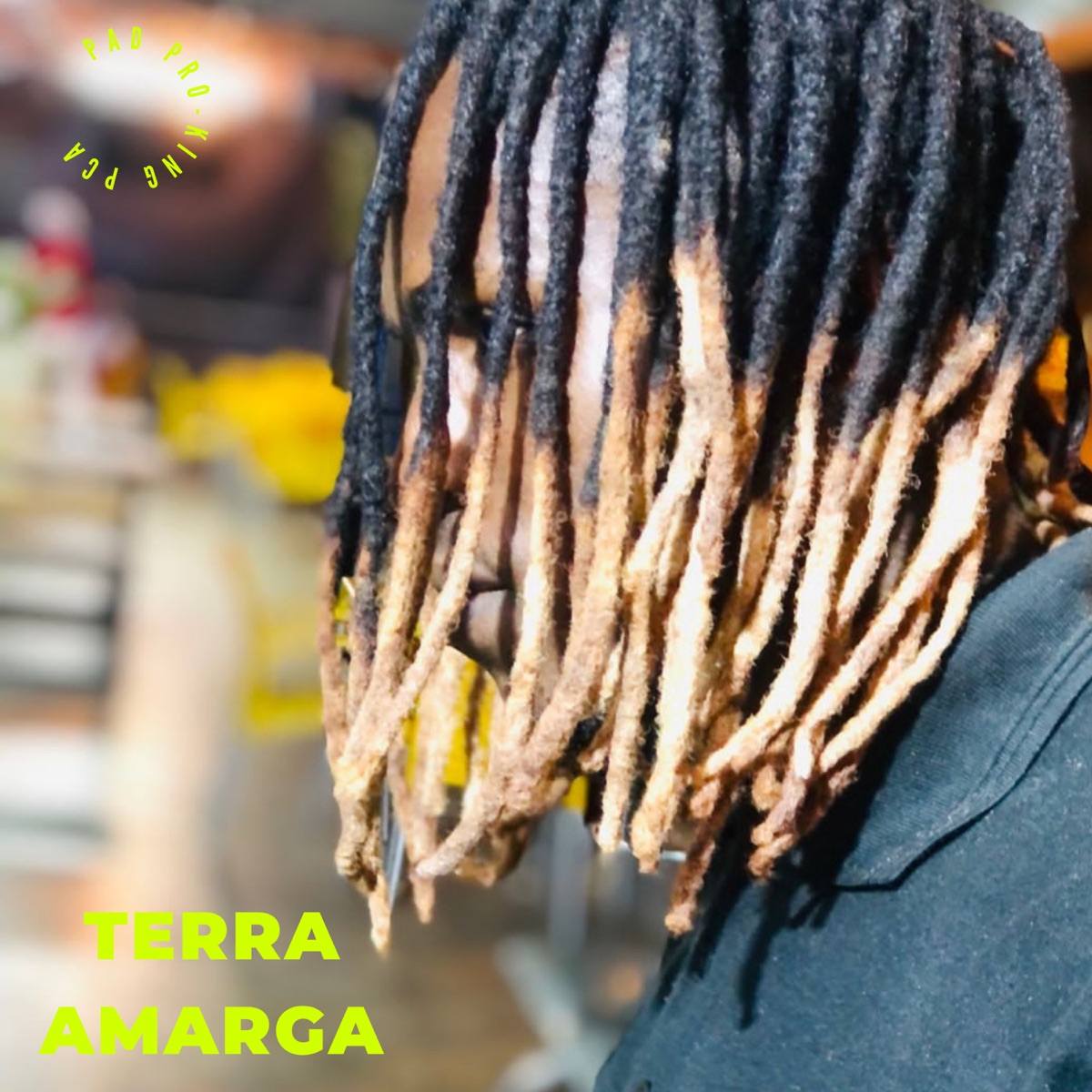 Terra Amarga - Single by Padilson Pro-king Pca album cover