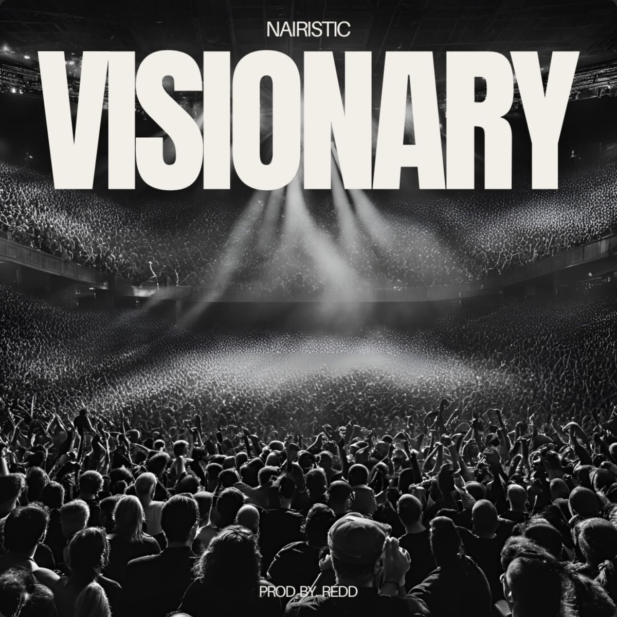 Visionary - Single by Nairistic album cover