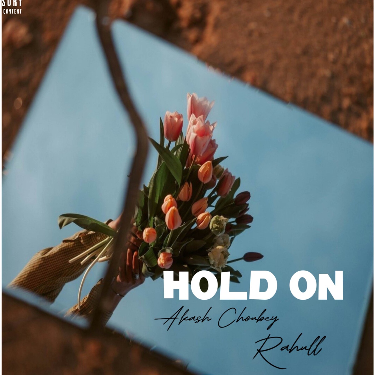 Hold On - Single by Akash Choubey & RahuLL album cover