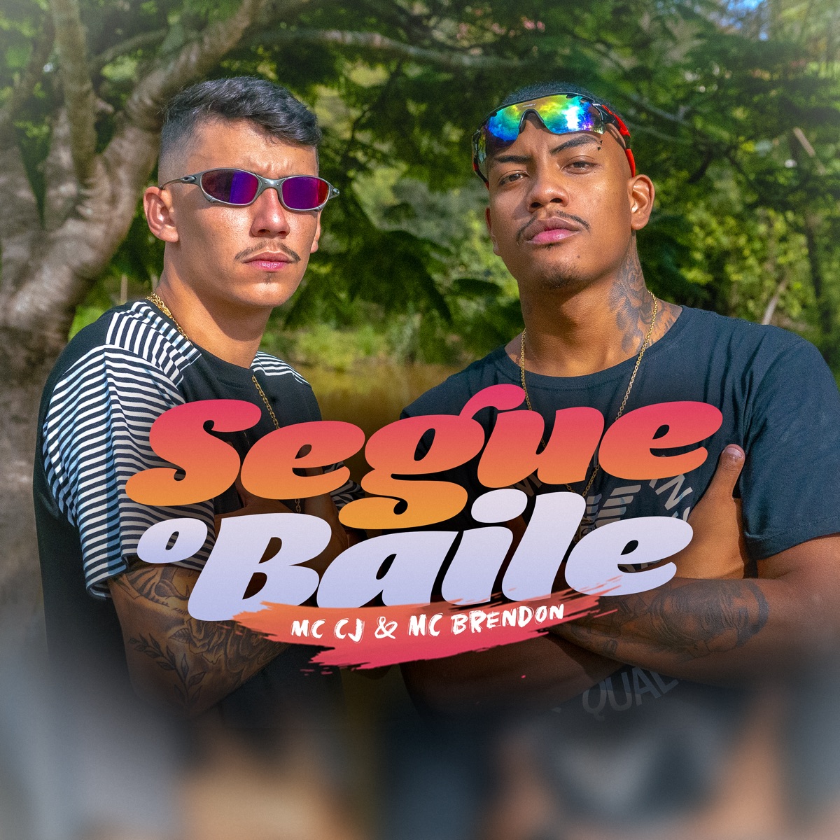 Segue o Baile - Single by MC CJ & MC Brendon album cover