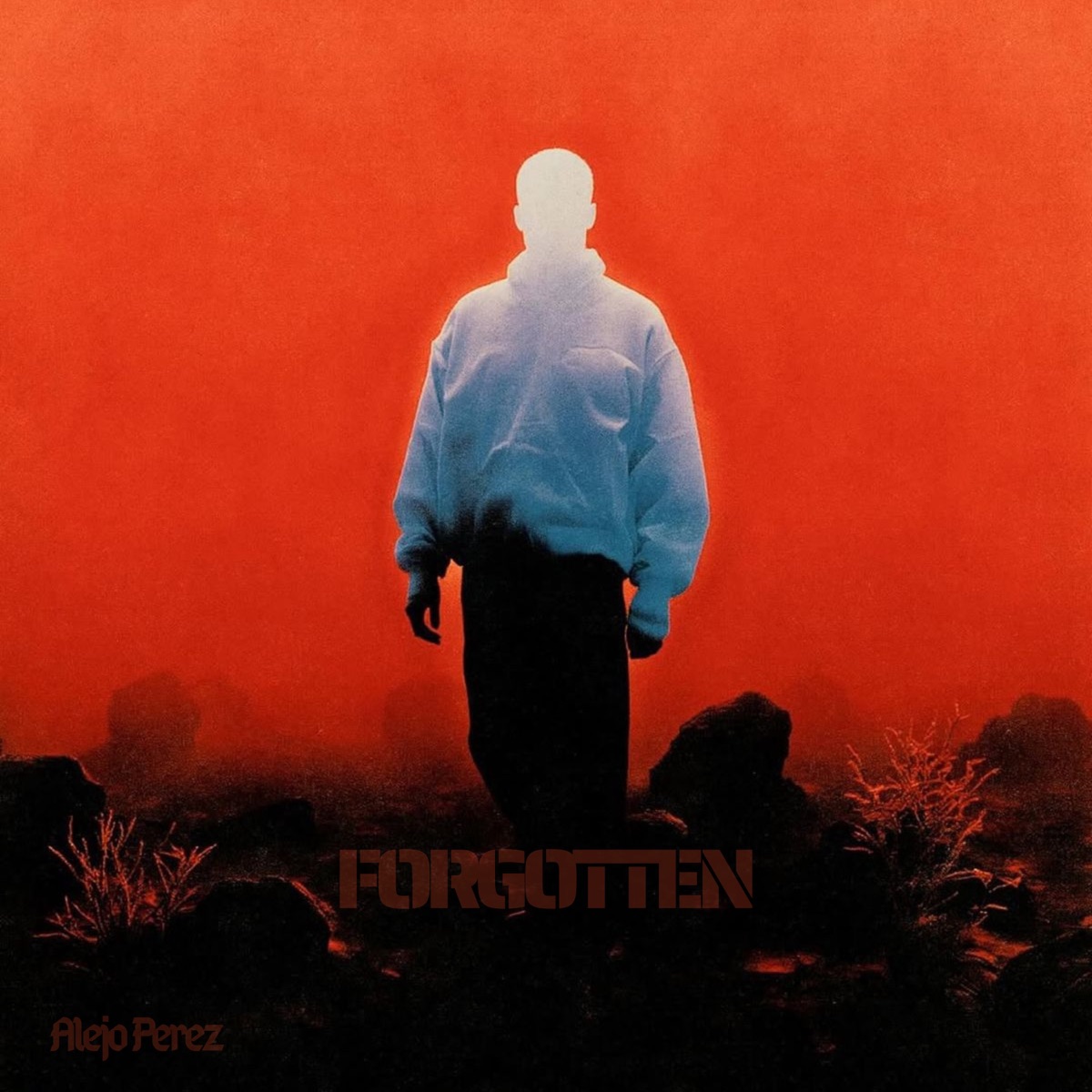 FORGOTTEN - Single by Alejo Pérez album cover
