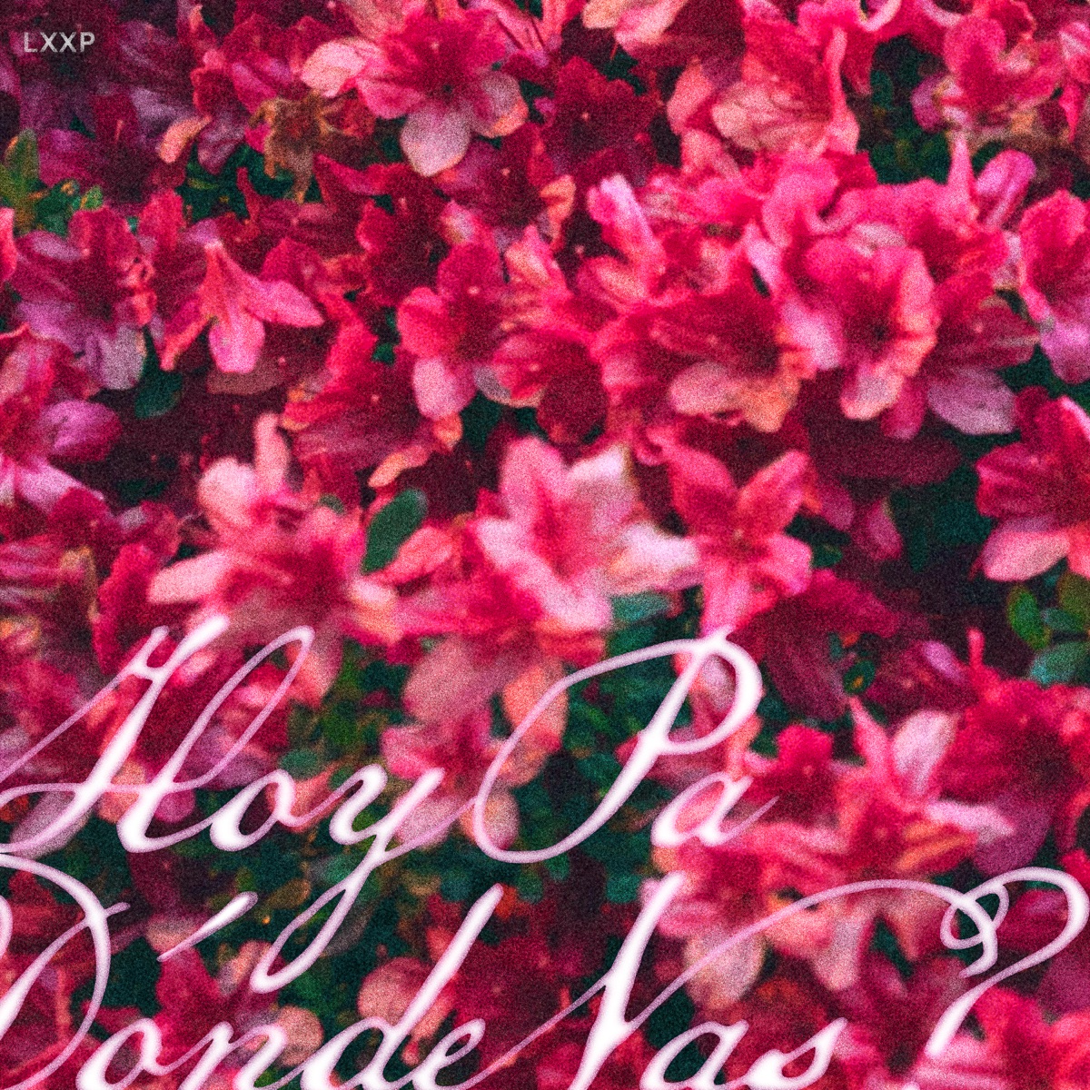 Hoy Pa Donde Vas? (feat. Kabplugboi) - Single by Lxxp album cover