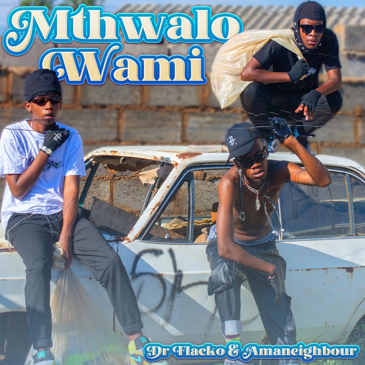 Mthwalo Wami - Single by Dr Flacko & AmaNeighbour album cover