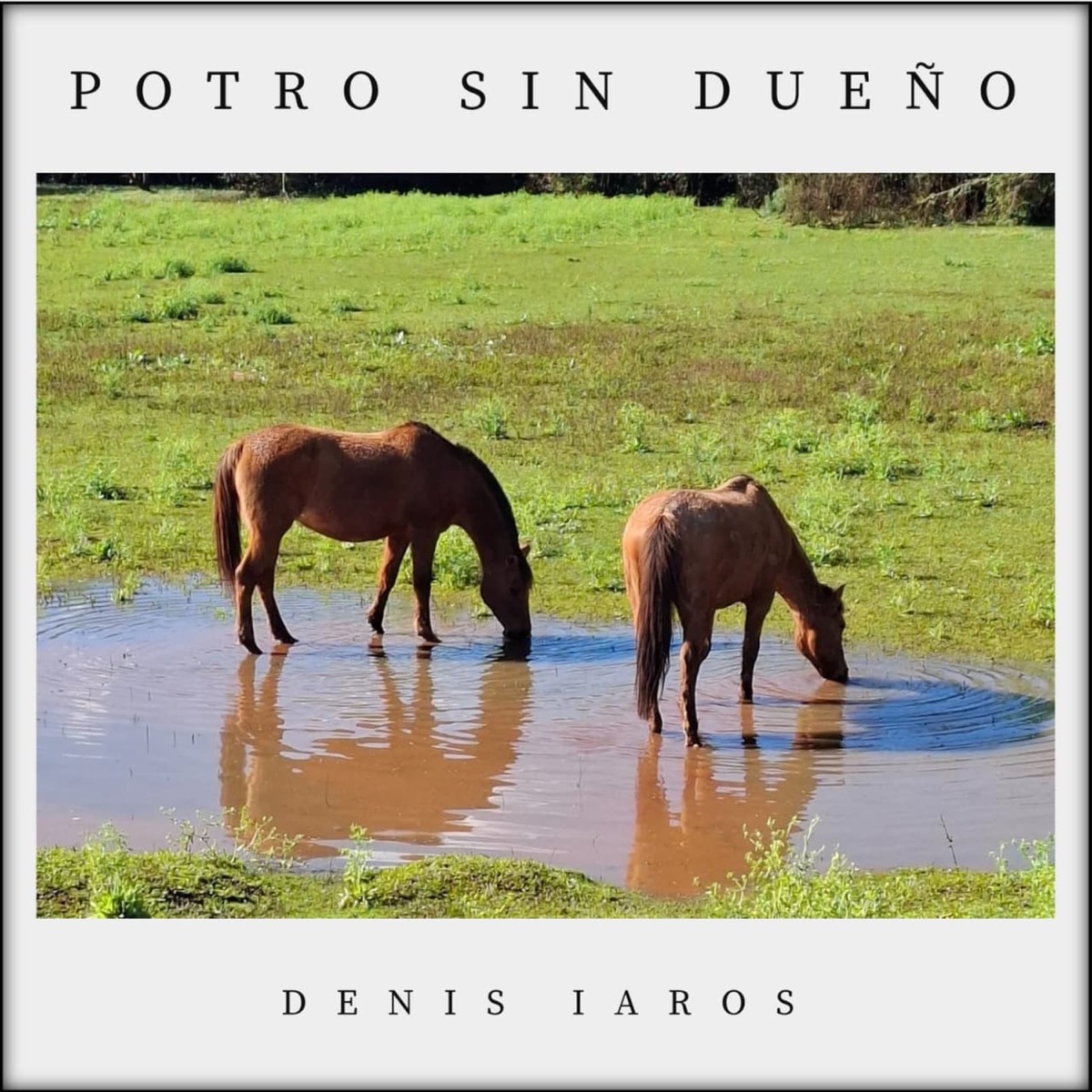 Potro Sin Dueño - Single by DENIS IAROS album cover
