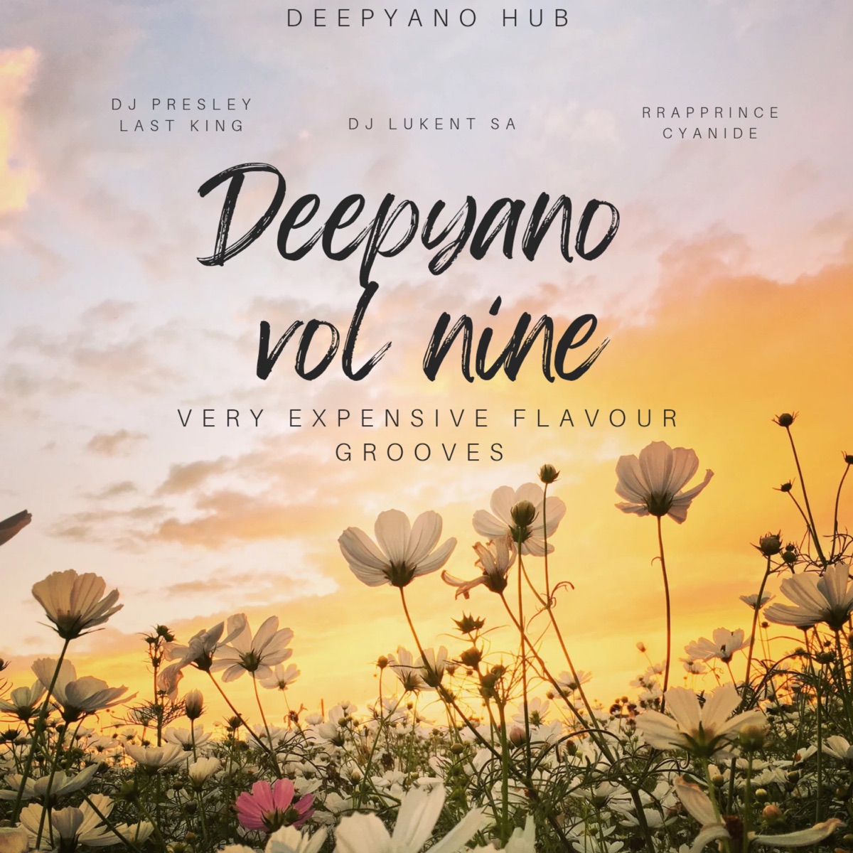 Deepyano, Vol. 9 (Very Expensive Flavour Grooves ) by DJ Presley Last King, DJ Lukent SA & Rapprince Cyanide album cover