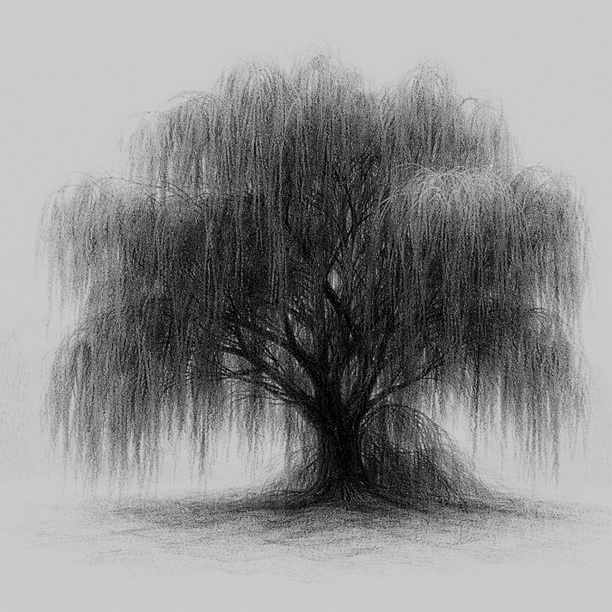 WILLOW by WILLOW album cover