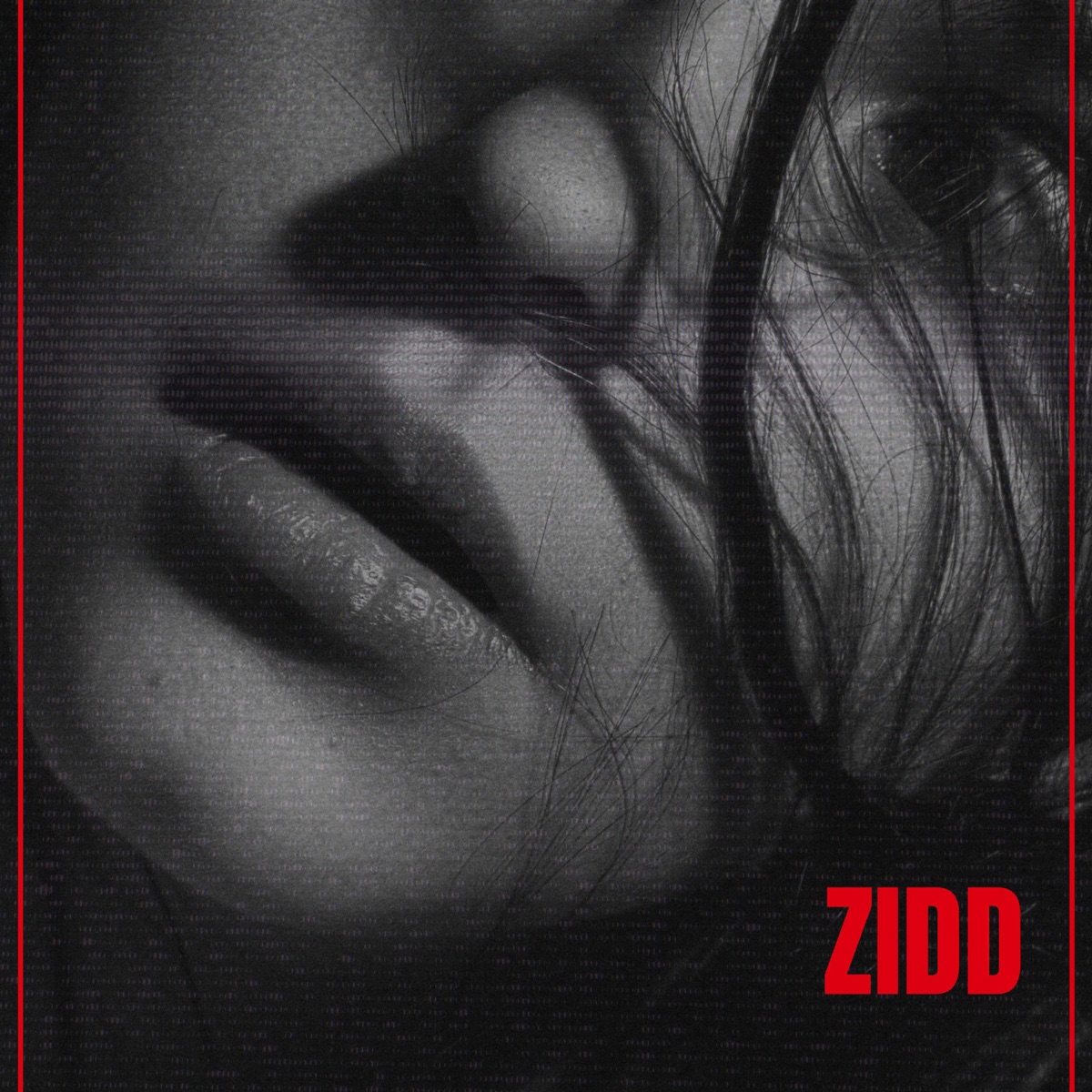 ZIDD - Single by Saksham album cover