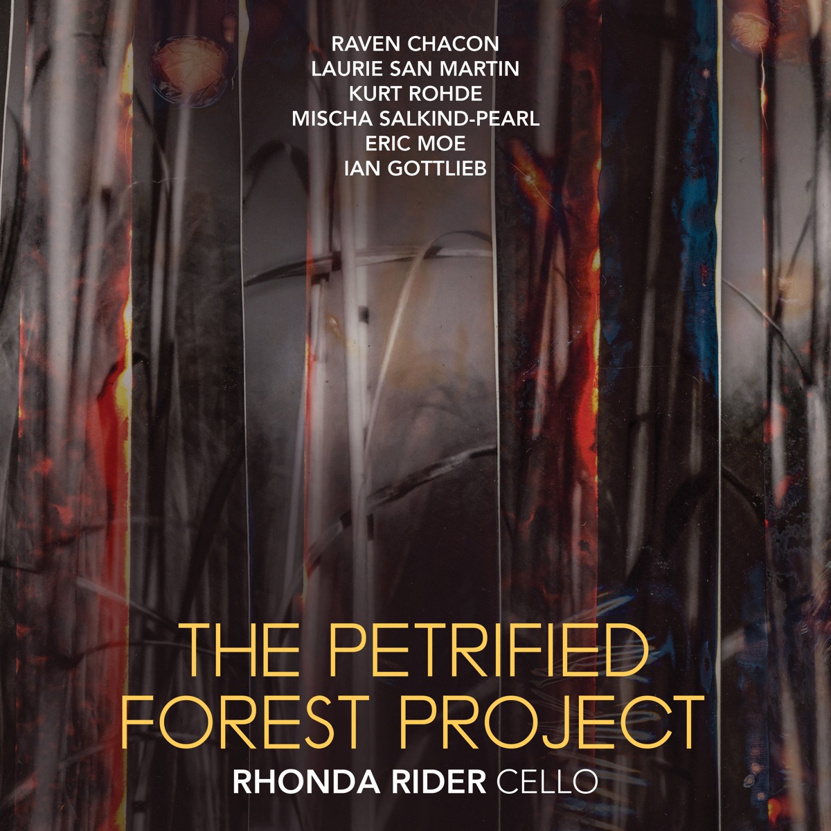 The Petrified Forest Project by Rhonda Rider album cover