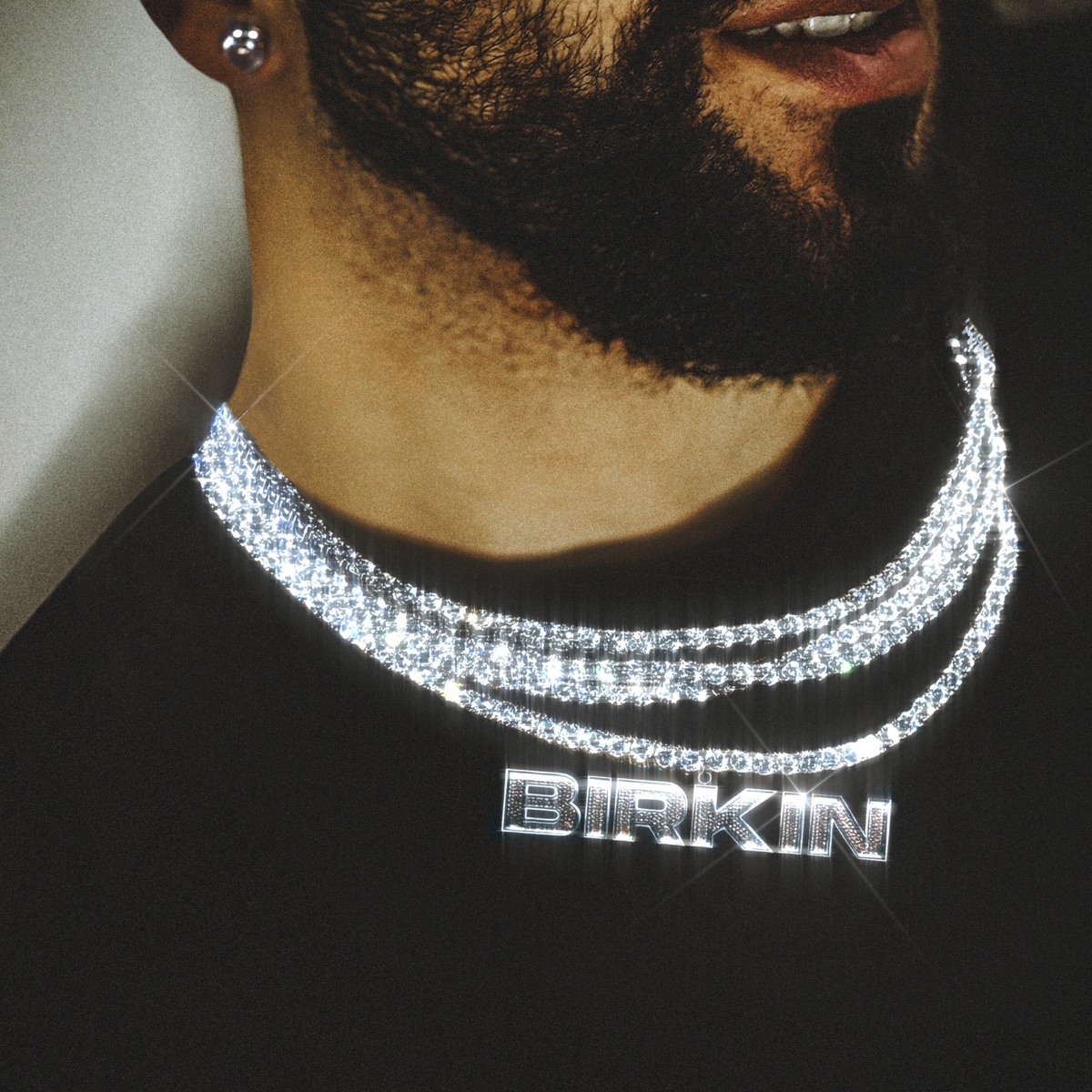 Birkin - Single by Руф album cover