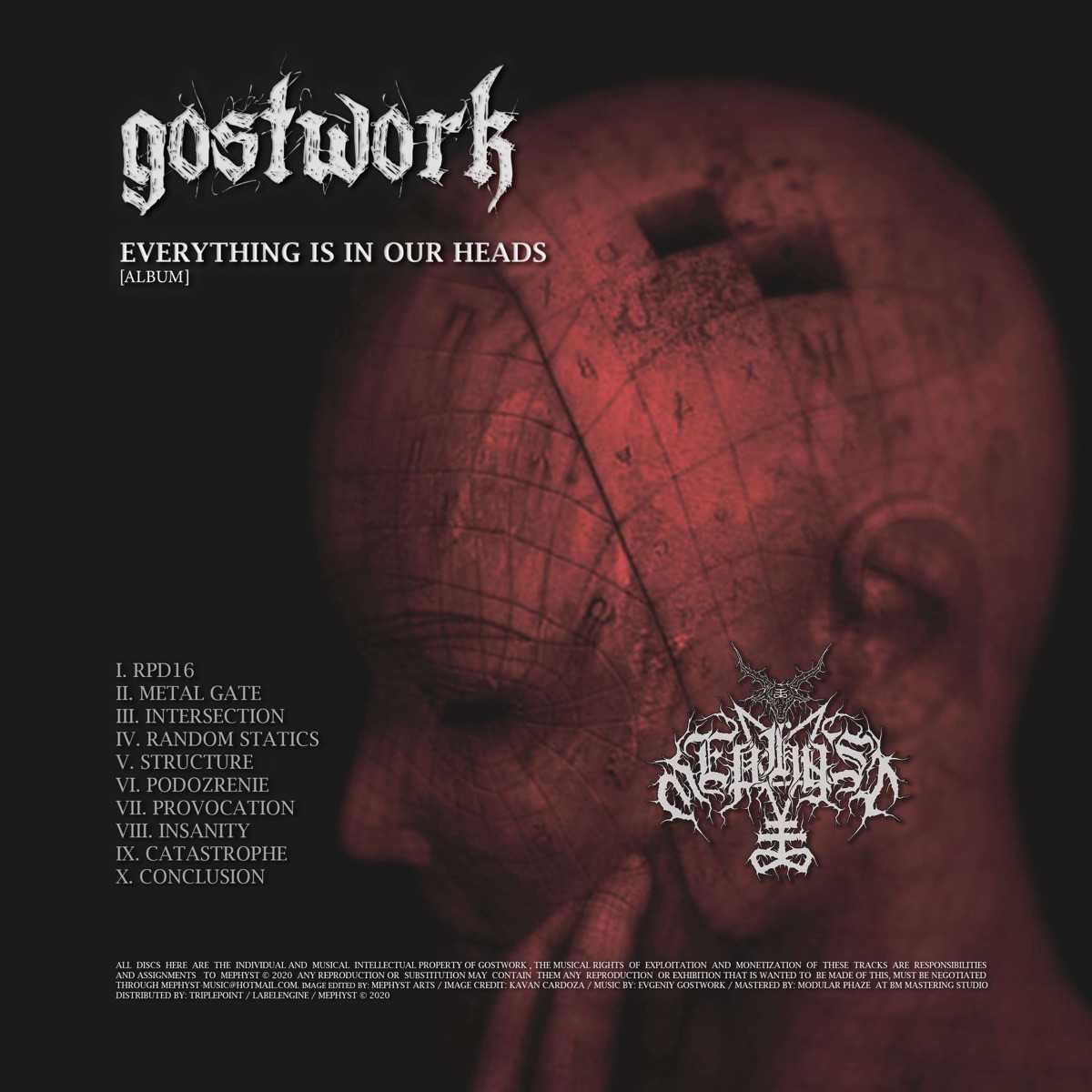 Everything Is In Our Heads by Gostwork album cover