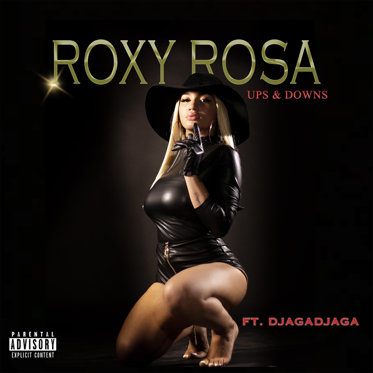 Ups & Downs - Single by Roxy Rosa & Djaga Djaga album cover