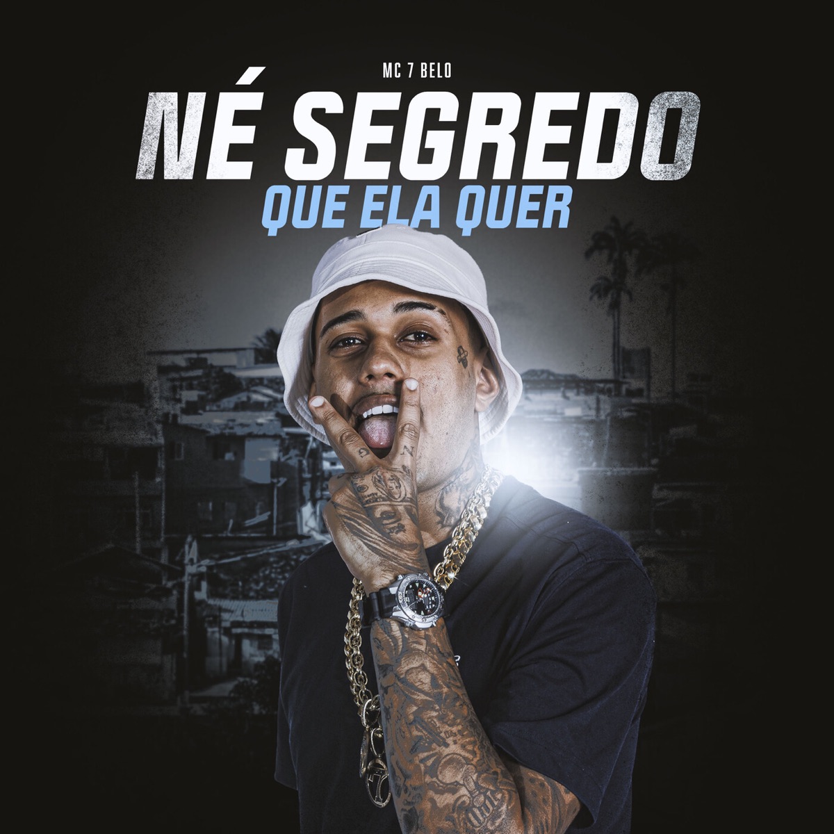 Né Segredo Que Ela Quer - Single by MC 7 Belo & DJ Patinete album cover
