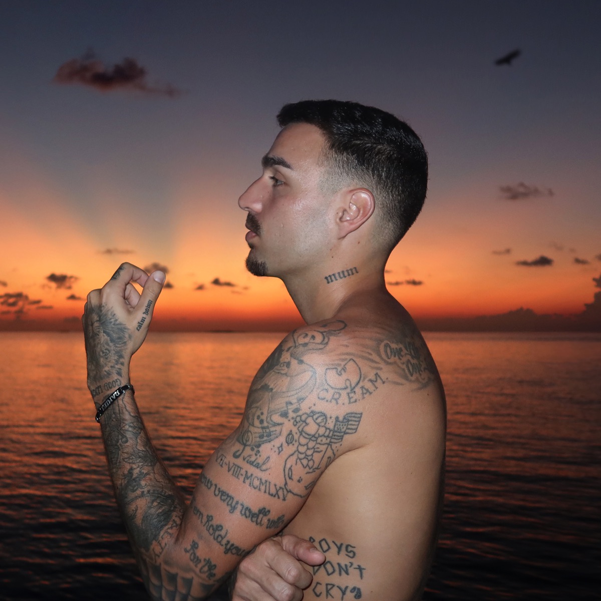 Un Desperdicio - Single by Rels B & Junior H album cover artwork