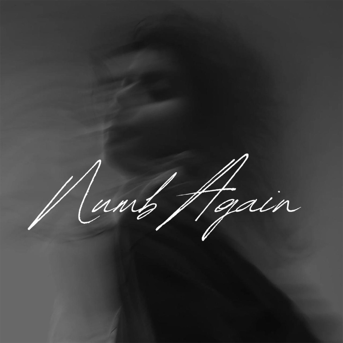 Numb Again - Single by REX MUSIC, Zouqan & The Hashtags album cover