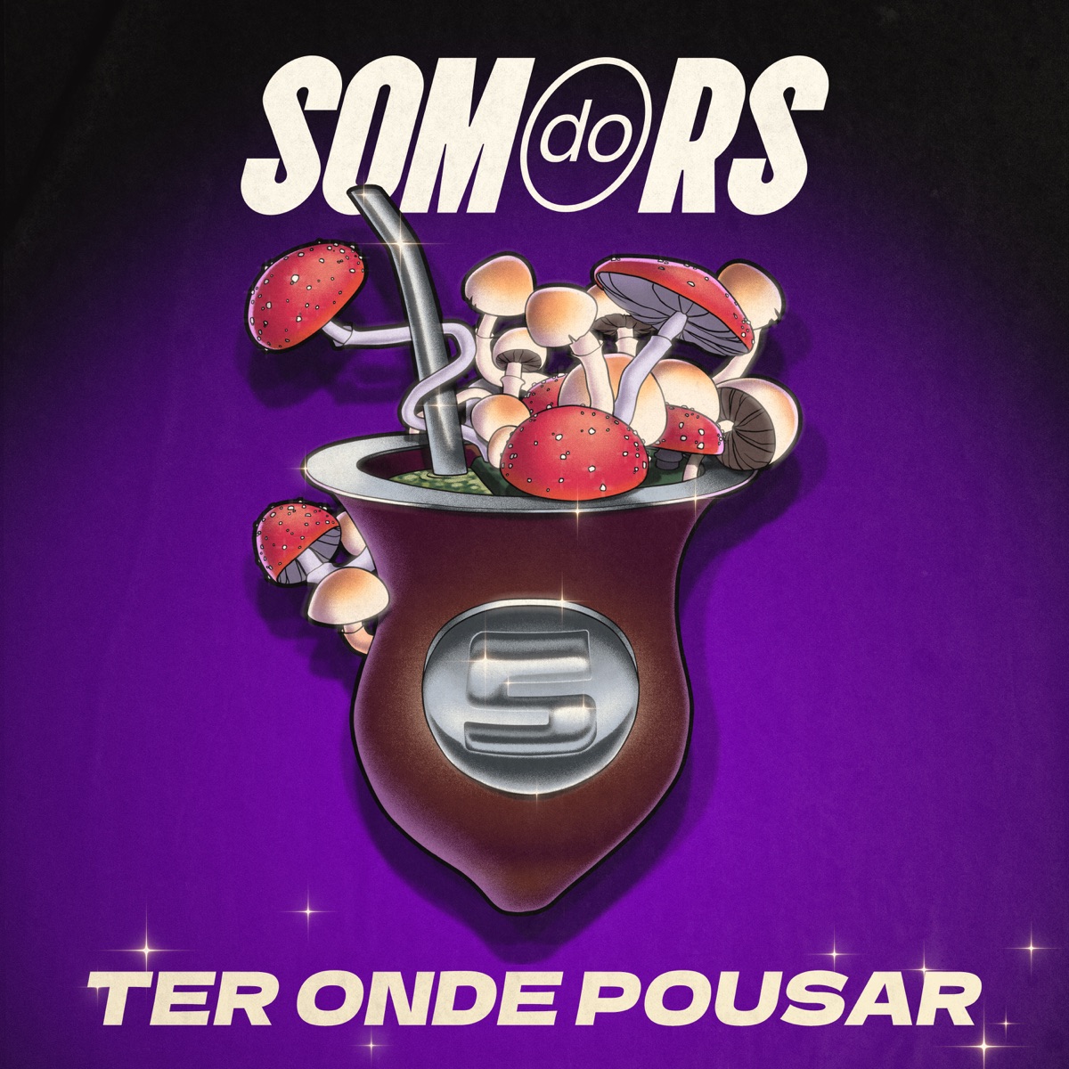 Som do Rs: Ter Onde Pousar - Single by Código Penal, Chá de Broders, Rap Pampa Crew, Miri Brock, A Virgo, Batuca na Bituca, Gabi Lamas, Jalile, Camila balbueno, Supervão, Leu Kalunga, Freak Brotherz, Zilladxg, Sotaques de Fronteiras & Gabriela Lery album cover