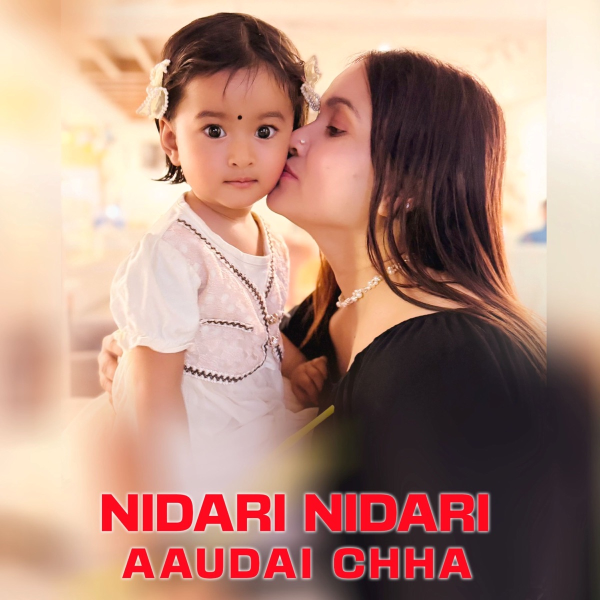 NIDARI NIDARI AAUDAI CHHA - Single by Arjun Pokharel & Durga Kharel album cover