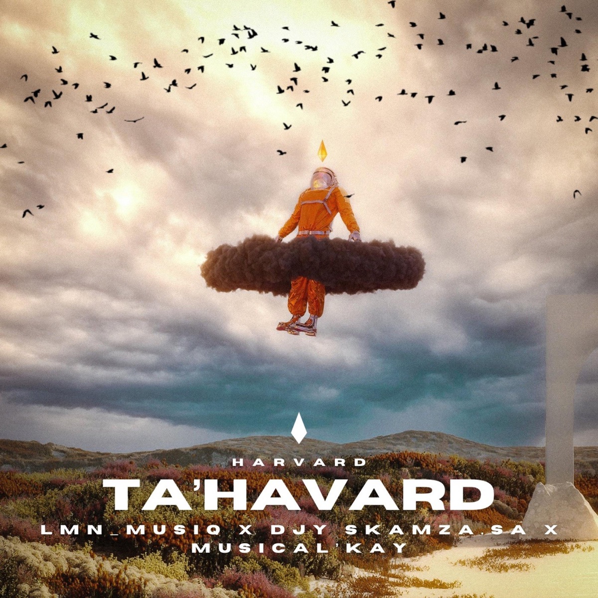 TA'HAVARD - Single by LMN_MusiQ & Djy Skamza SA album cover