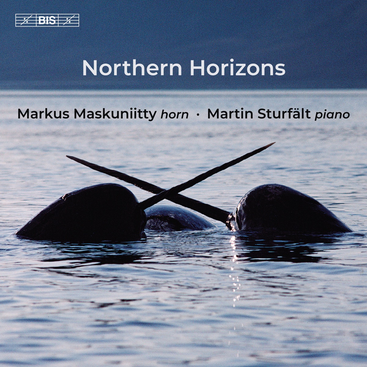Northern Horizons: Julius Röntgen: Aus Jotunheim: I. Lento, ma un poco andante - Single by Markus Maskuniitty & Martin Sturfält album cover