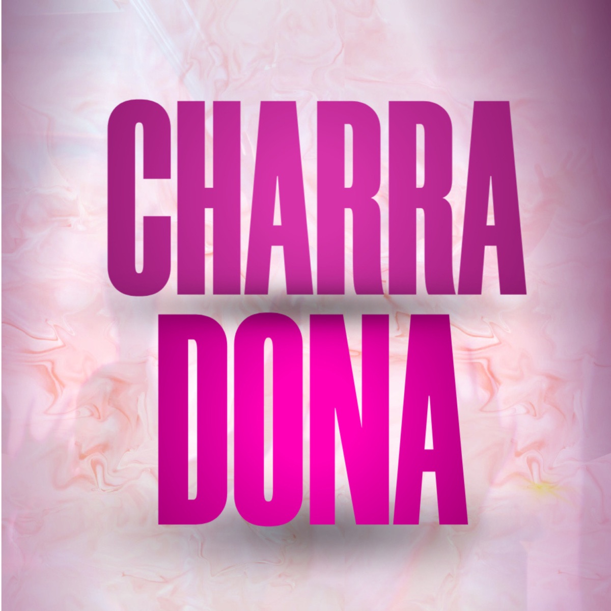 Charradona (feat. Dj Silvério) - Single by DJ Alan, DJ Jotta7 & DJ Theo da ZS album cover