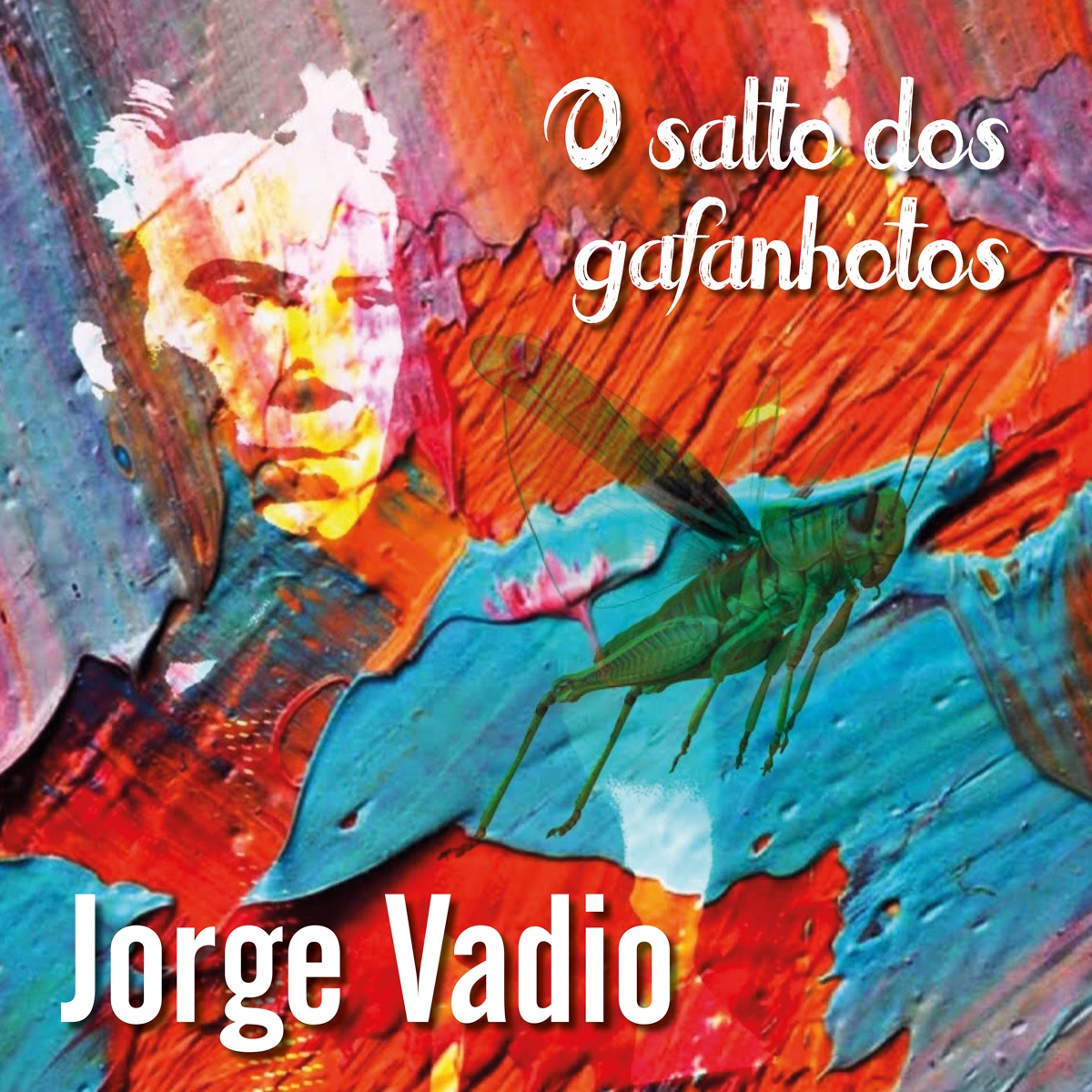 O Salto dos Gafanhotos by Jorge Vadio album cover