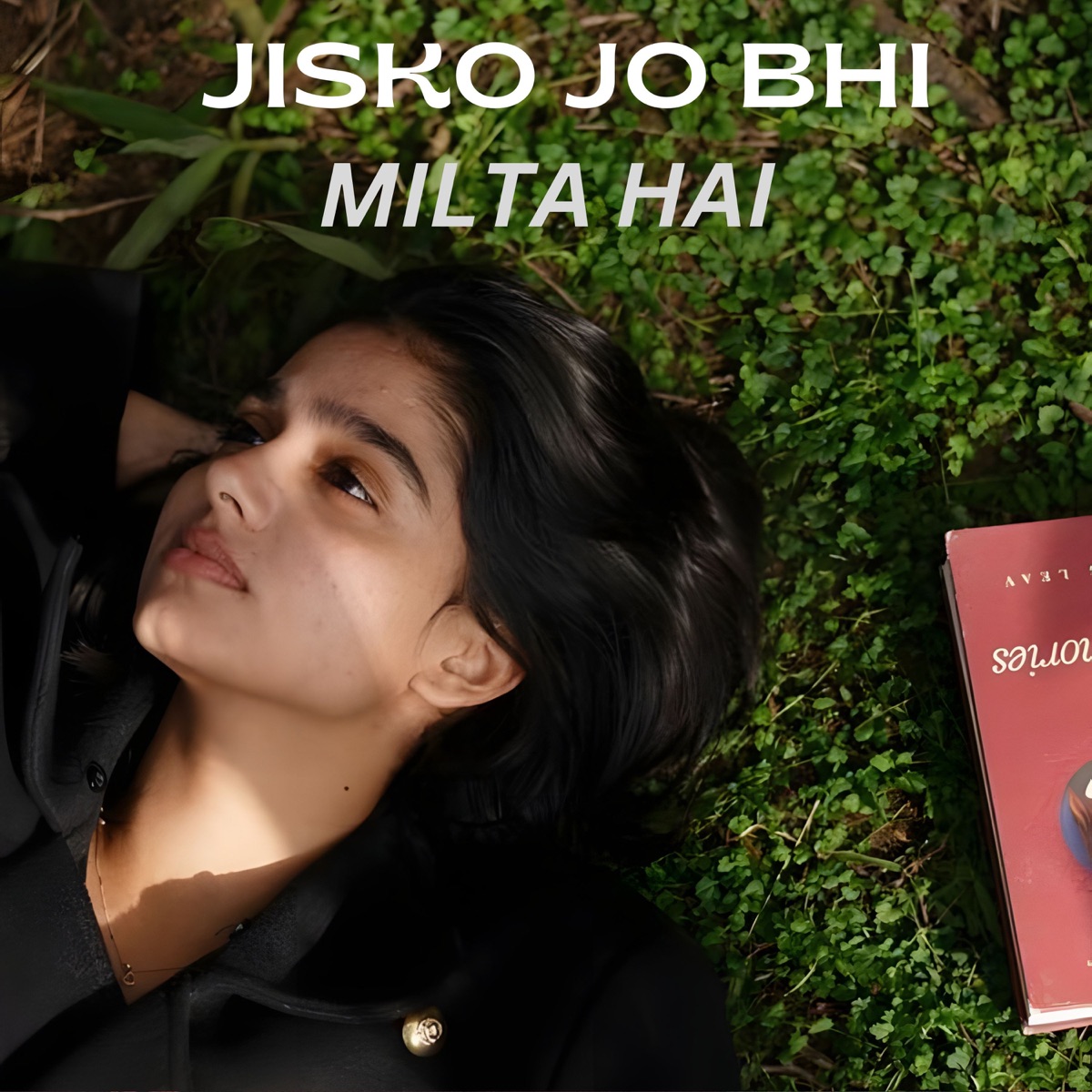 Jisko Jo Bhi Milta Hai - Single by Gabbar album cover