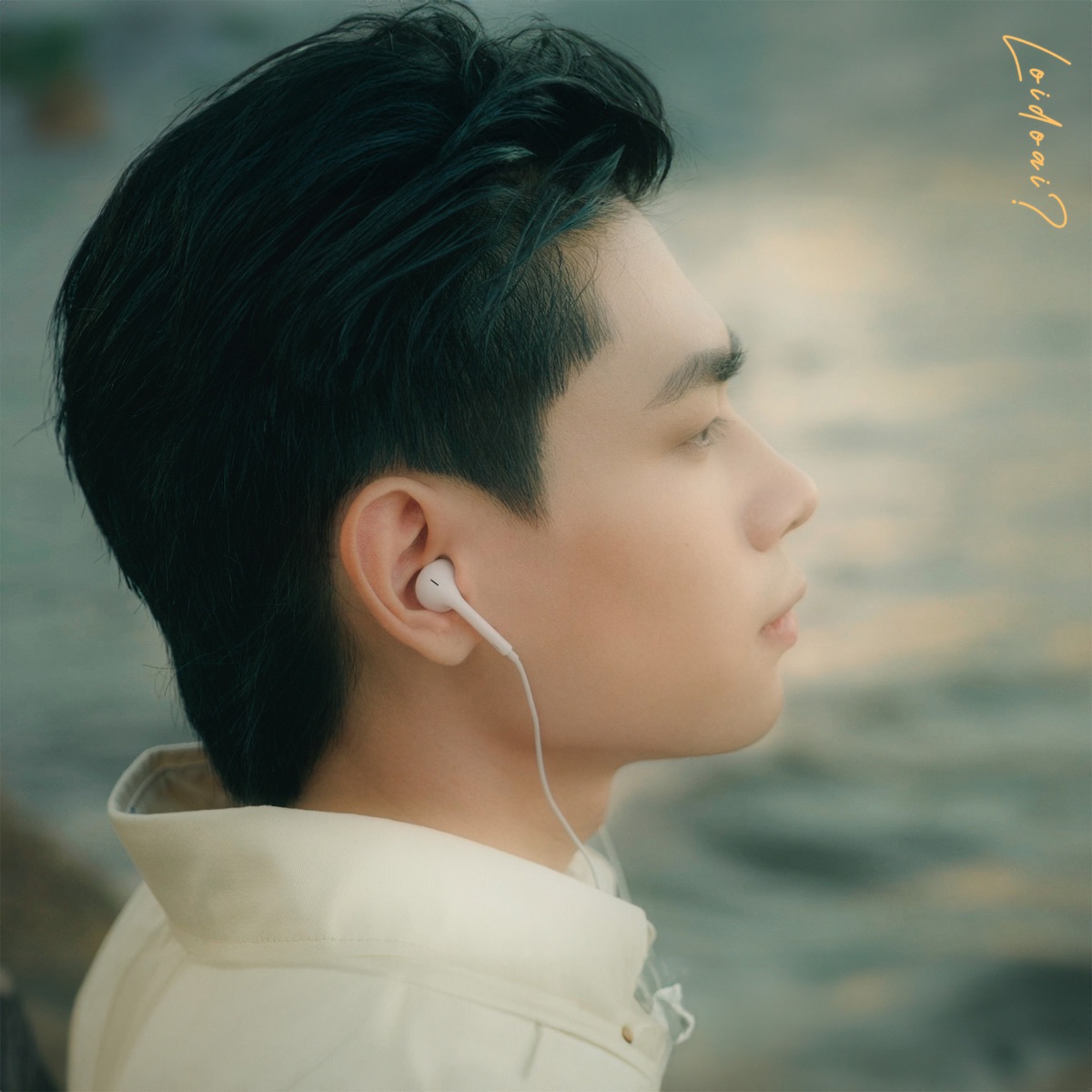 Loidoai? - Single by Lê Vũ album cover