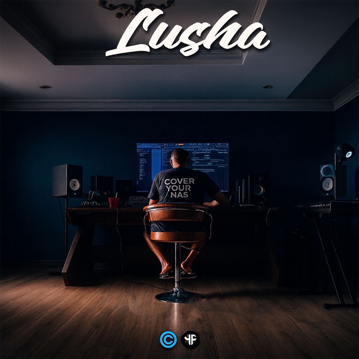 Nyaka Nyaka Jo - Single by Sjavas99, Mafis MusiQ & Lusha album cover
