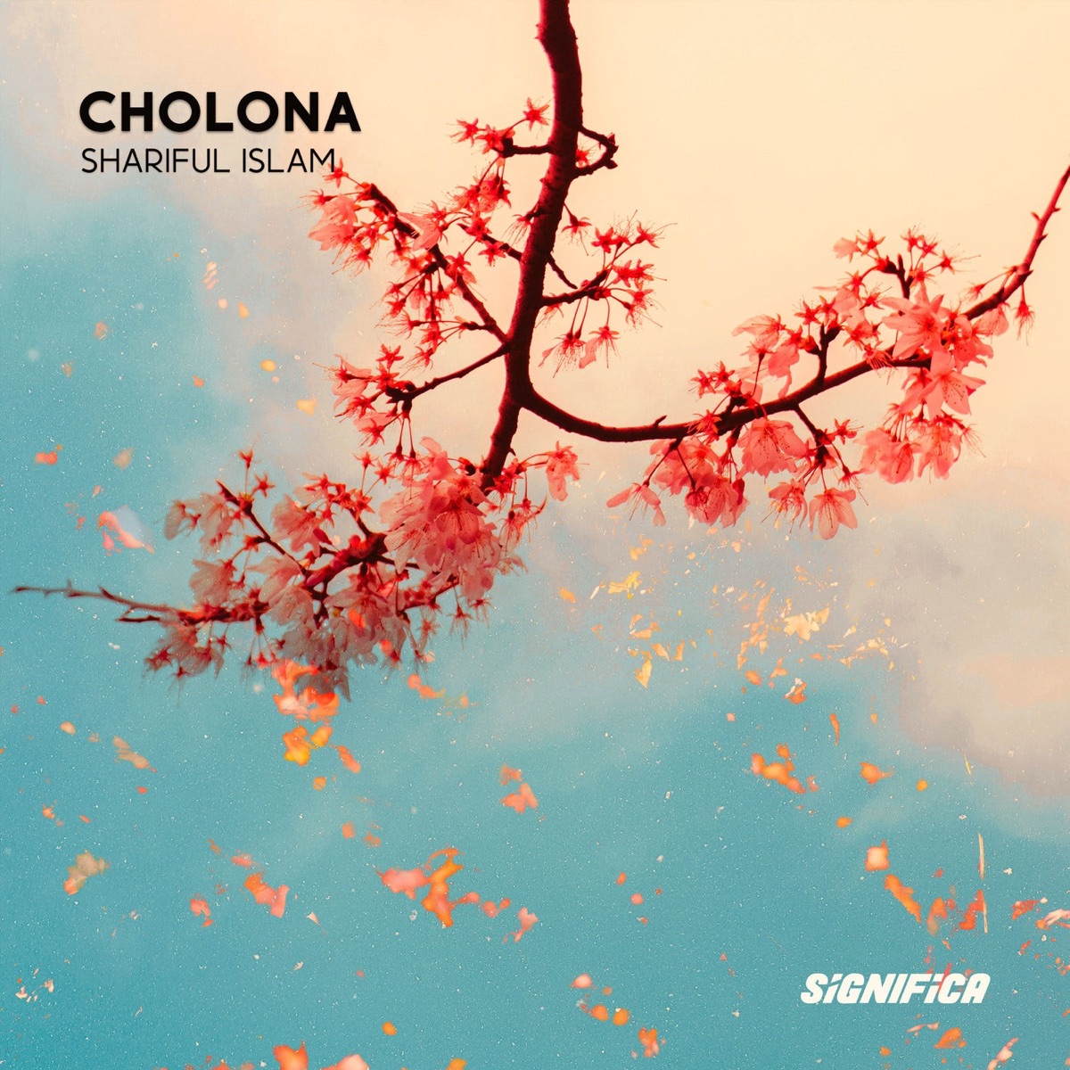 Cholona - Single by Shariful Islam album cover