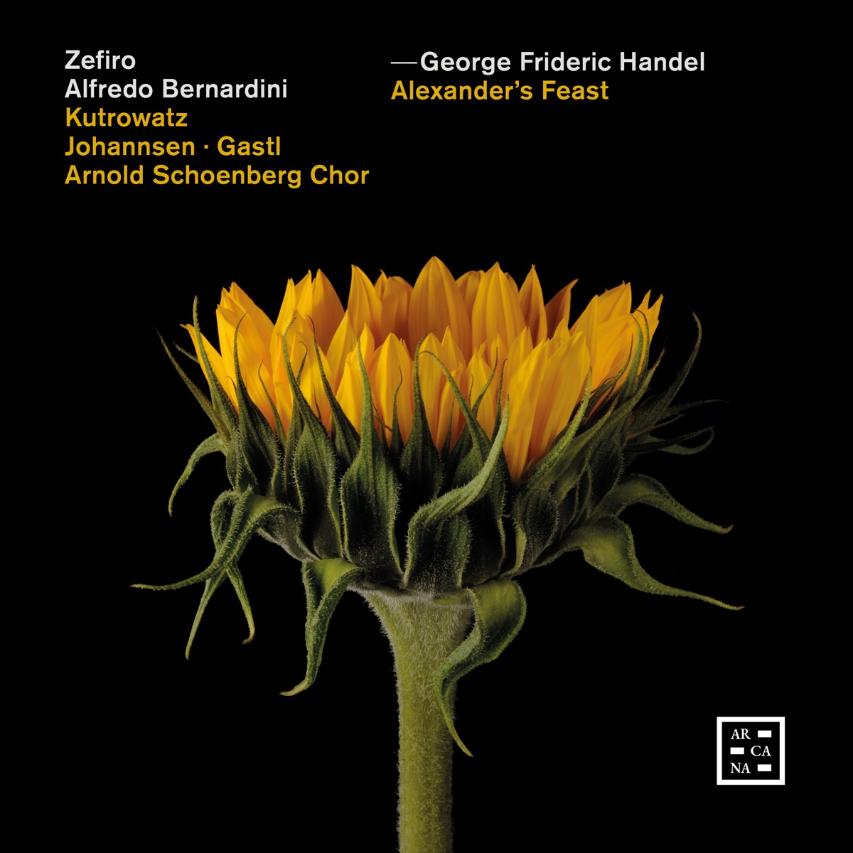 Handel: Alexander’s Feast by Zefiro, Alfredo Bernardini, Arnold Schoenberg Choir, Miriam Kutrowatz, Daniel Johannsen & Damien Gastl album cover