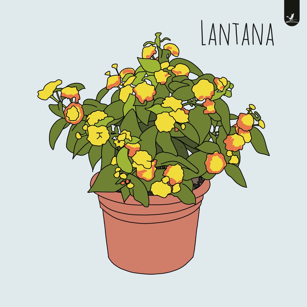 Lantana - Single by Noflik & Showyou album cover