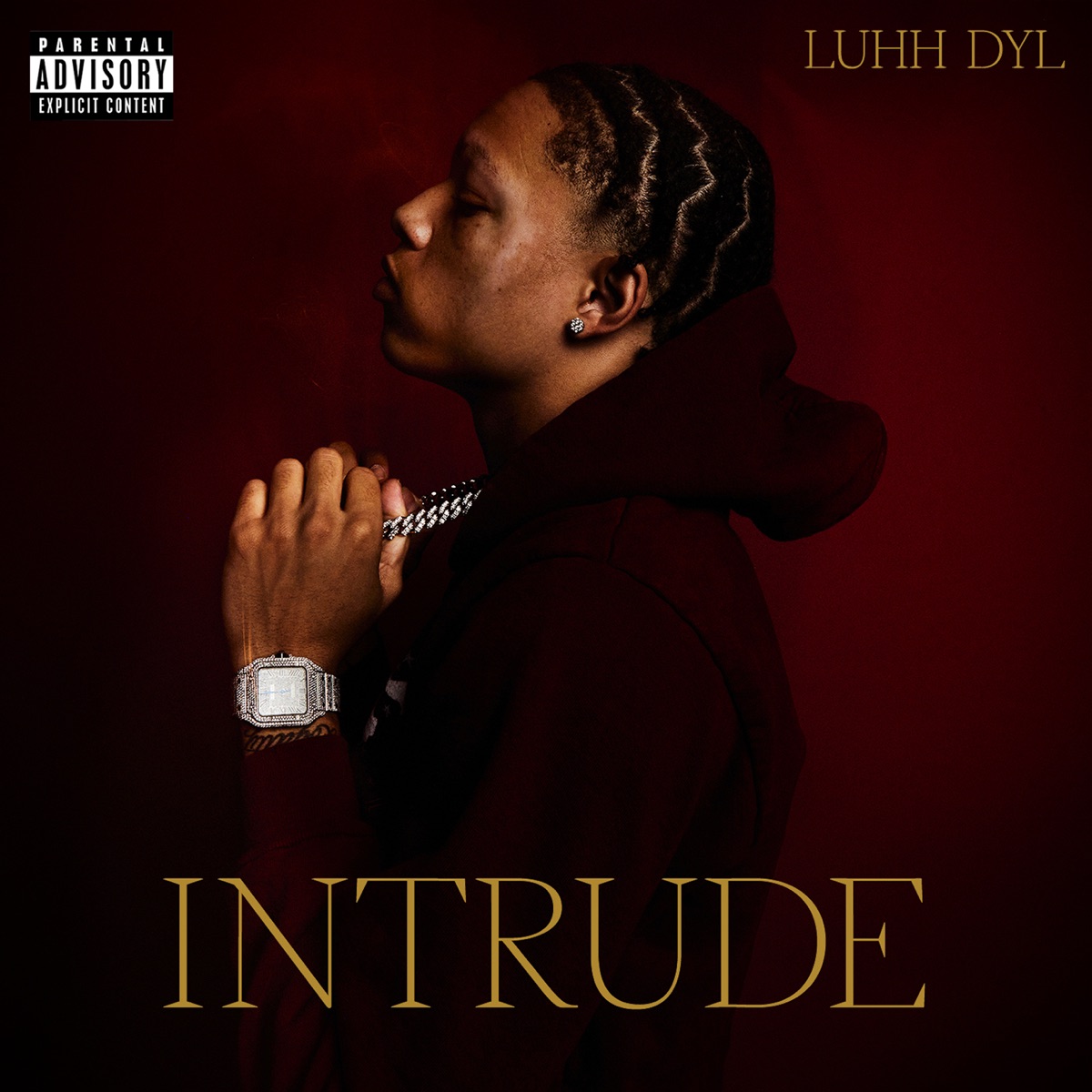 Intrude by Luhh Dyl album cover