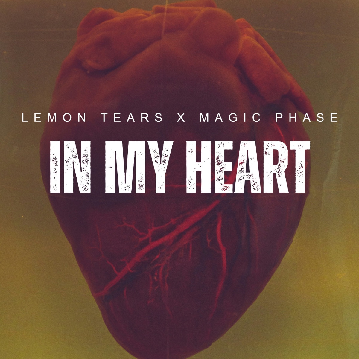 In My Heart - Single by Lemon Tears & Magic Phase album cover