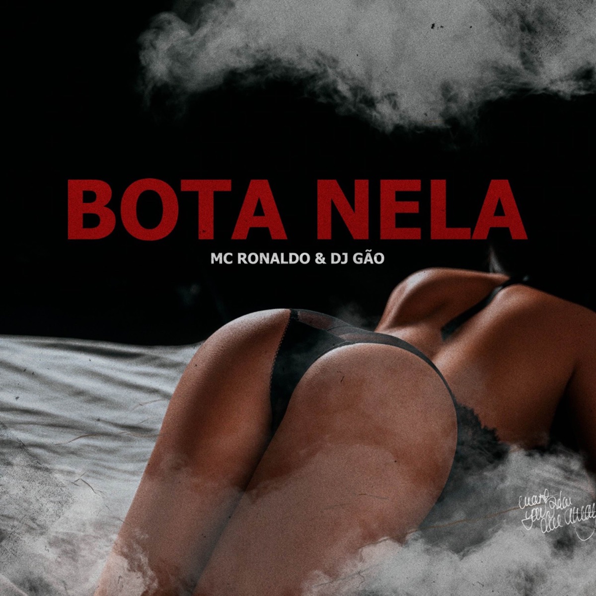 Bota Nela - Single by Mc Ronaldo & DJ Gao album cover