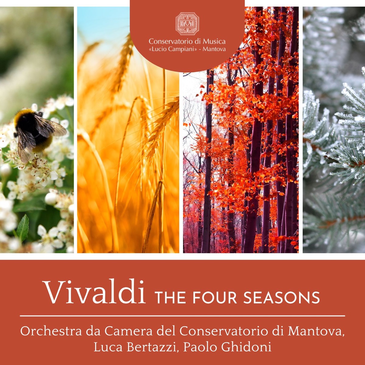 Vivaldi: The Four Seasons by Paolo Ghidoni, Luca Bertazzi & Orchestra da Camera del Conservatorio di Mantova album cover