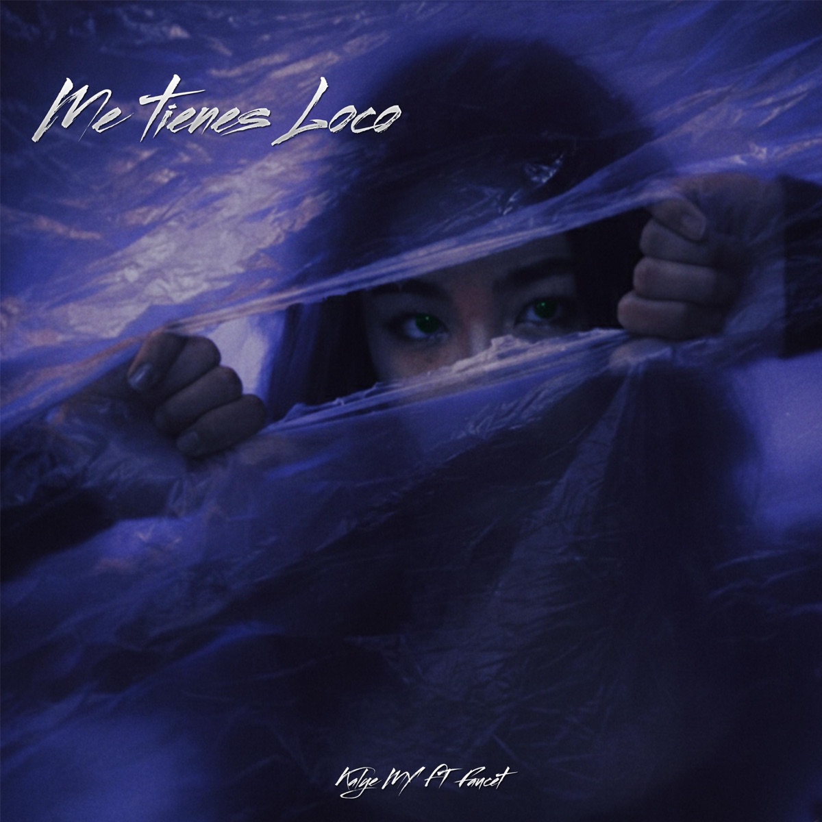 Me Tienes Loco (feat. FAUCET NIGG4) - Single by Kalye MY album cover