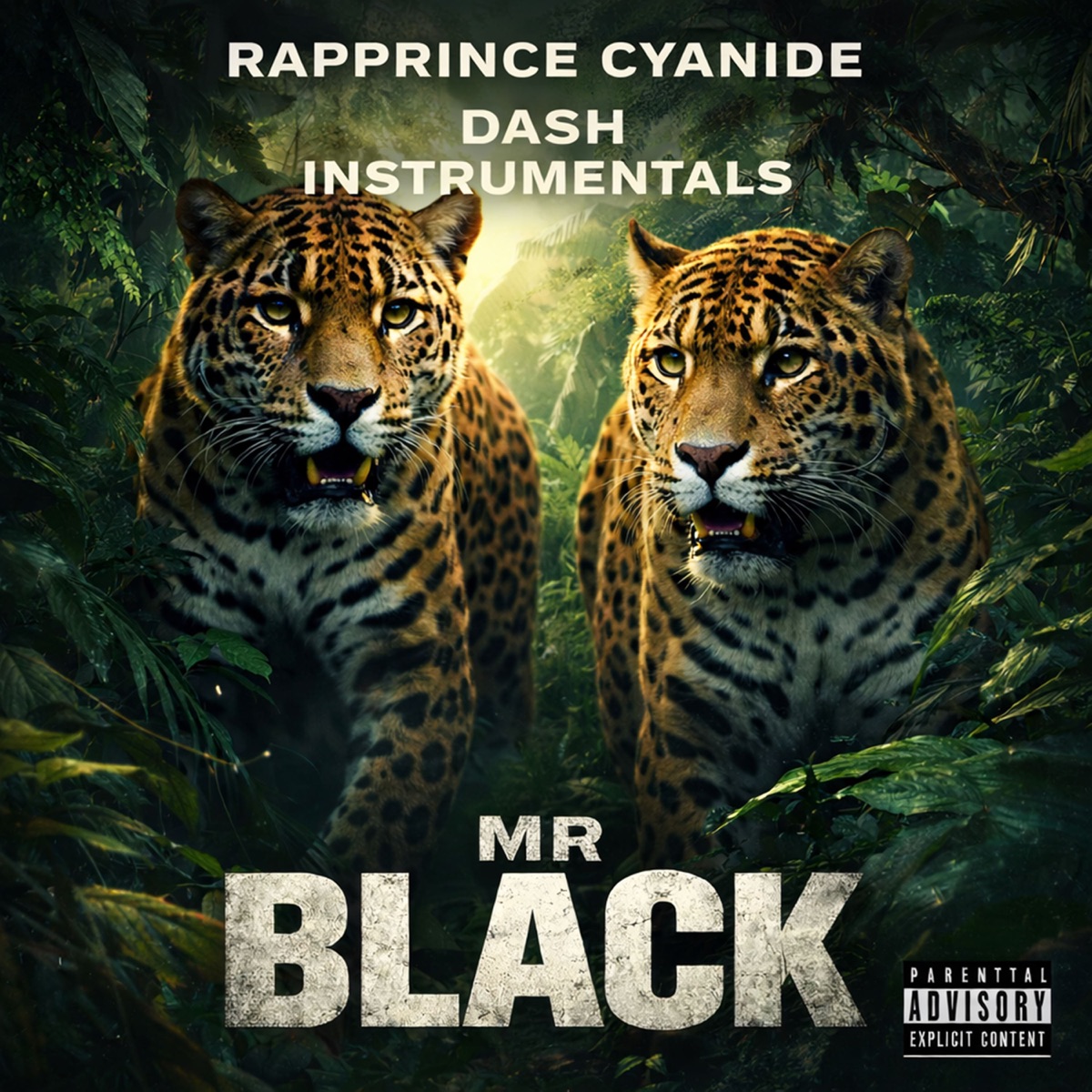Mr Black - Single by Rapprince Cyanide & Dash Instrumentals album cover