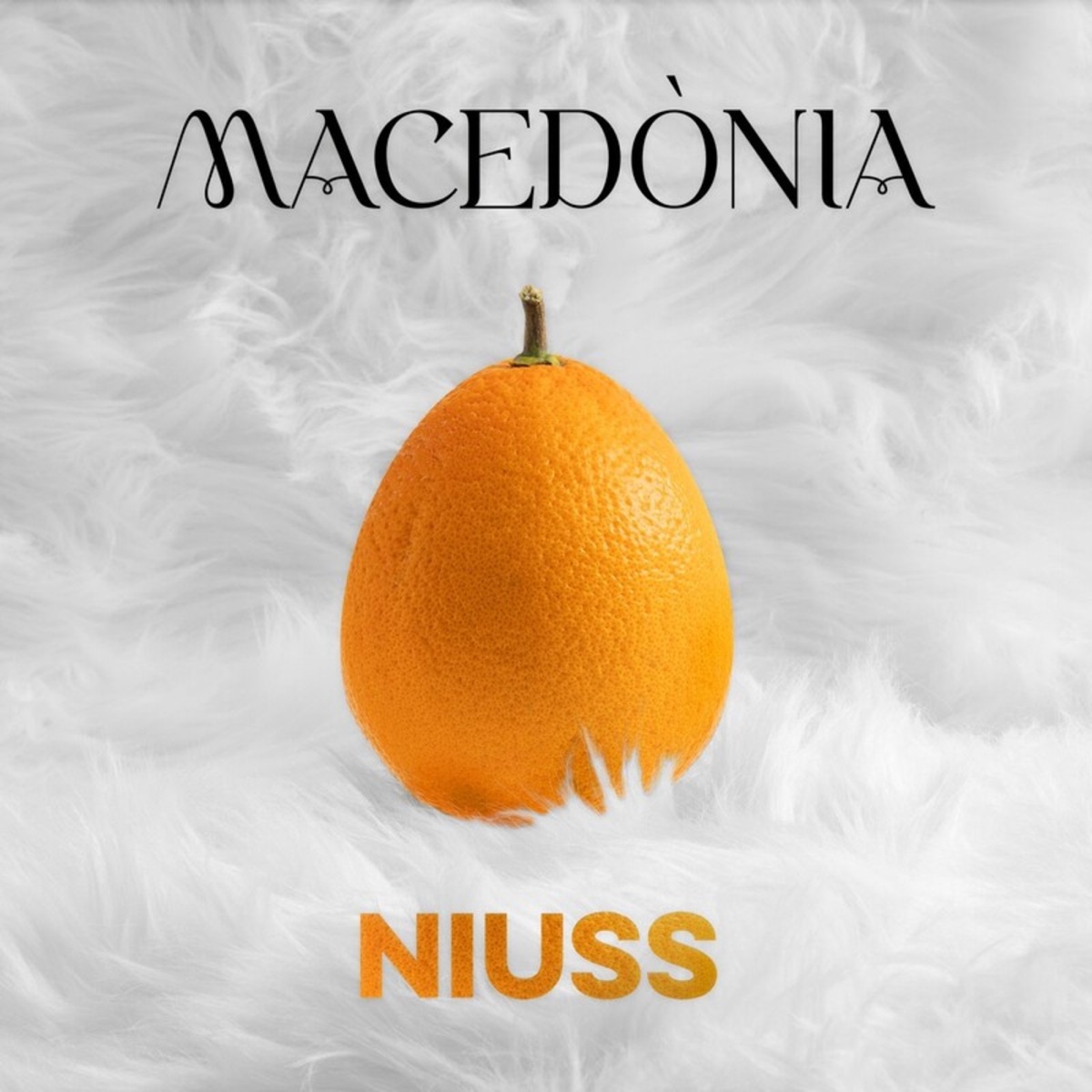 Macedònia by Niuss album cover